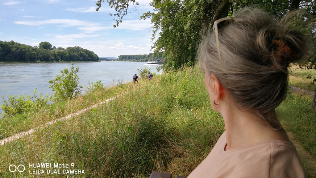 Ausflug mit Elektroauto an den Rhein mit Verbrauchswerten zum Sparen.