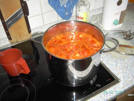 Selbstgemachte Tomatensuppe aus 8 kg Tomaten